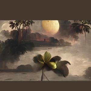 收聽MC JUJU的Sorry Radiant Belle歌詞歌曲