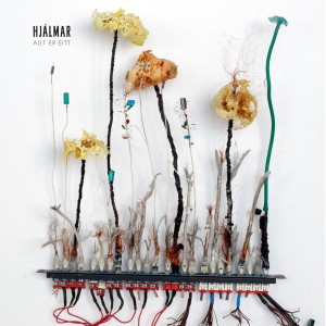 ดาวน์โหลดและฟังเพลง Aðeins eitt kyn พร้อมเนื้อเพลงจาก Hjalmar