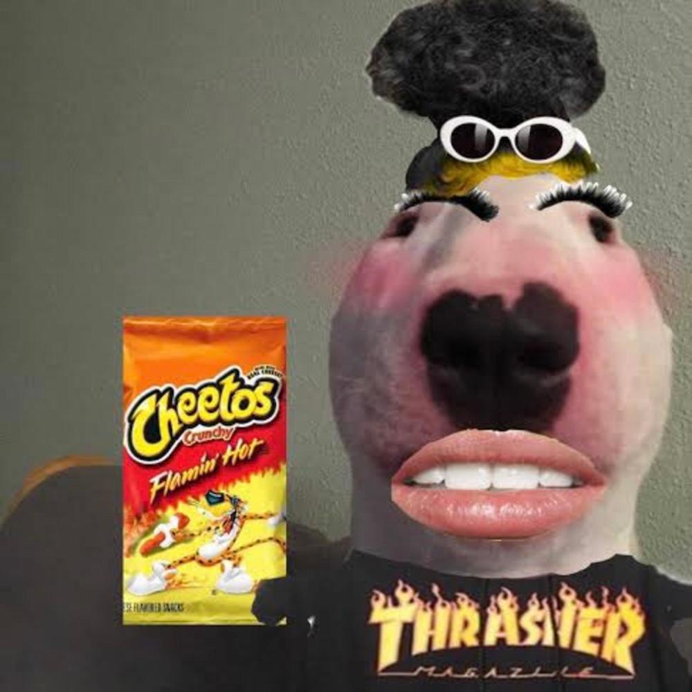 hot cheetos (Explicit)