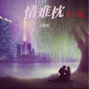Album 情难枕（DJ版） from 辉哥