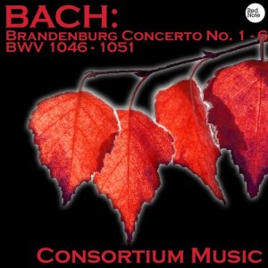 收聽Consortium Musicum的Brandenburg Concerto No. 4 in G major, BWV 1049: I. Allegro歌詞歌曲