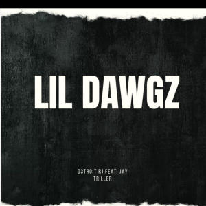 收聽D3troit RJ的LIL DAWGZ! (feat. Jay Triller) (Explicit)歌詞歌曲