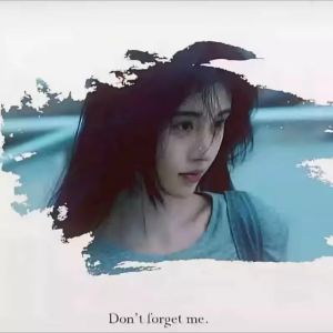 Album 陪伴 from DJ宋远
