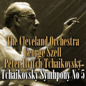 ดาวน์โหลดและฟังเพลง Symphony No. 5 in E Minor, Op. 64: II. Andante catabile, con alcuna licenza พร้อมเนื้อเพลงจาก Cleveland Orchestra