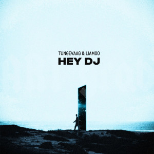 Martin Tungevaag的專輯Hey DJ