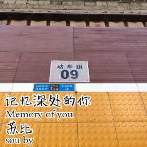 Listen to 谁是谁非 (完整版) song with lyrics from 李苏航