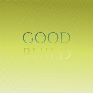 Various的專輯Good Build
