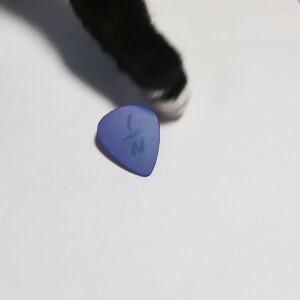 收聽엔분의일的Square Universe歌詞歌曲