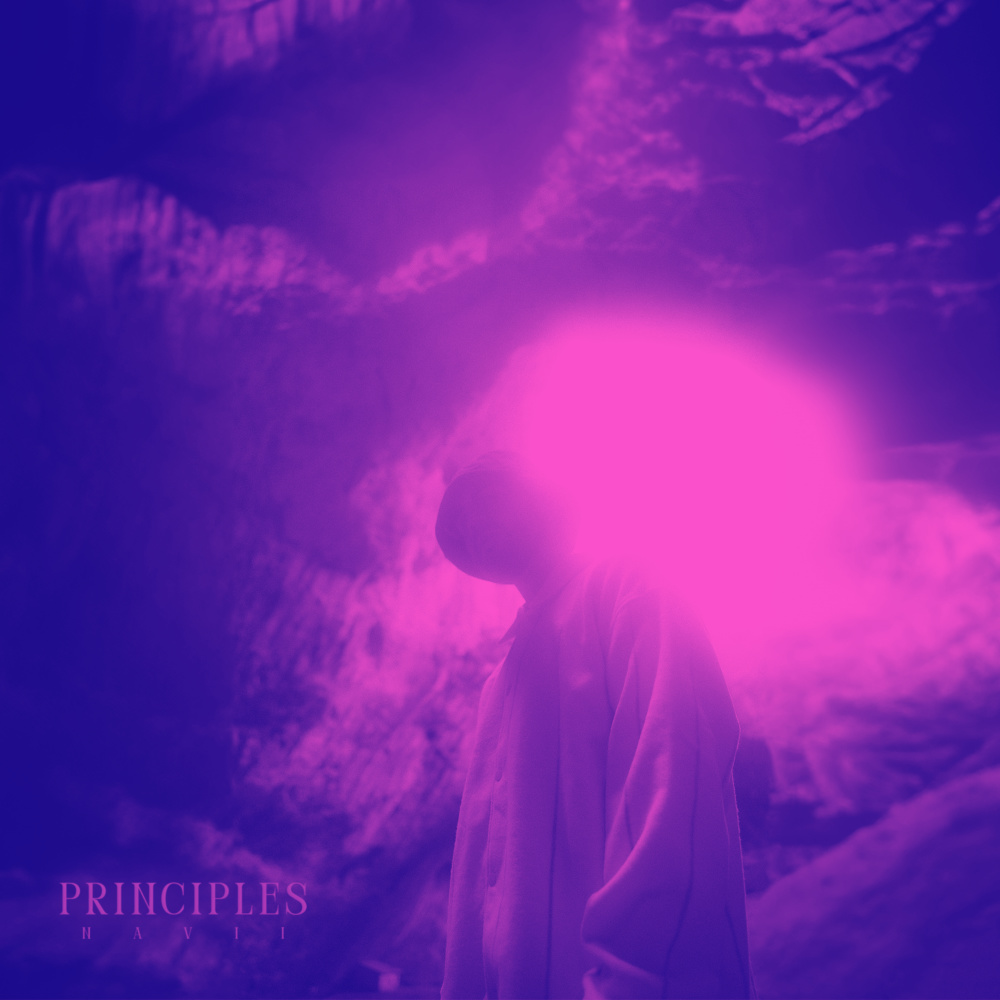 PRINCIPLES (spedup)
