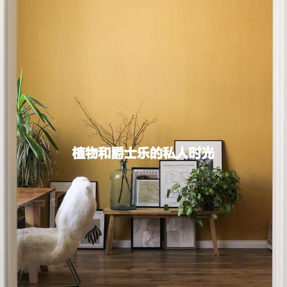 Cultivated Ambiance for Wild Imaginations