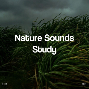 อัลบัม "!!! Nature Sounds Study !!!" ศิลปิน Sleep Sound Library