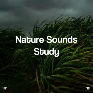 อัลบัม "!!! Nature Sounds Study !!!" ศิลปิน Deep Sleep