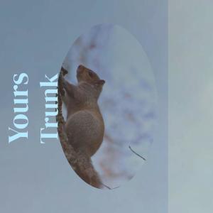 Listen to Yours Trunk song with lyrics from Jenis Kalea