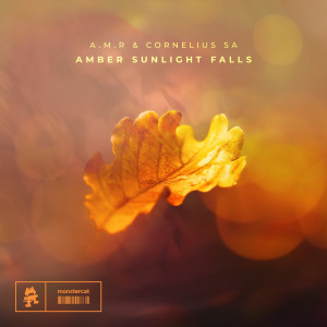 Amber Sunlight Falls dari A.M.R