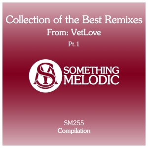 Listen to Searching (VetLove & Mike Drozdov Remix) song with lyrics from DJ Artak