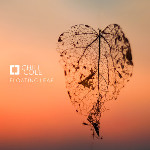 Listen to Floating Leaf (其他) song with lyrics from Chill Cole