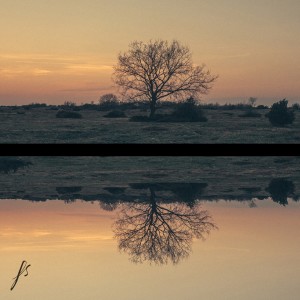 Listen to Wolves song with lyrics from Fred Seul