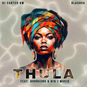 收聽DJ Carter BW的Thula (feat. Blax808, Born kxng & Biq J Musiq) (Explicit)歌詞歌曲