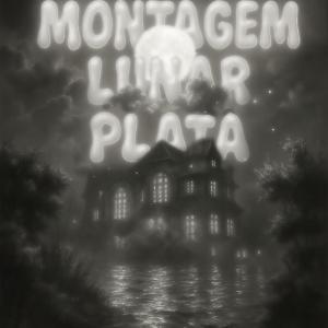 收聽3VILCORE的MONTAGEM LUNAR PLATA (feat. DJ ZKD|SUPER SLOWED)歌詞歌曲