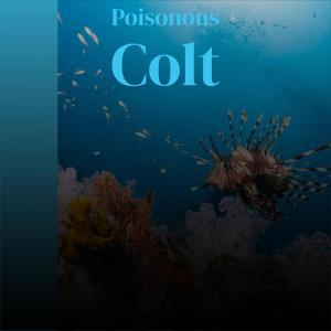 Various的专辑Poisonous Colt