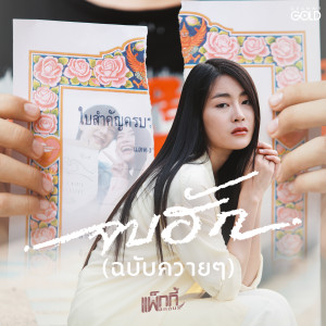ดาวน์โหลดและฟังเพลง จบฮัก (ฉบับควายๆ) พร้อมเนื้อเพลงจาก แพ็กกี้ สกลนรี