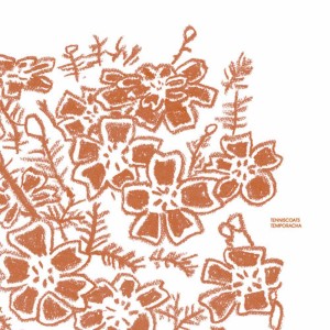 ดาวน์โหลดและฟังเพลง Do พร้อมเนื้อเพลงจาก Tenniscoats