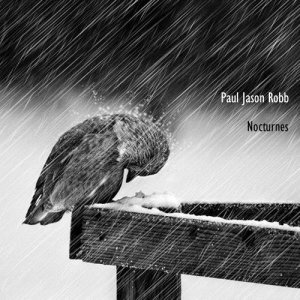 收聽Paul Jason Robb的Nocturne, No. 1歌詞歌曲