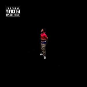 Listen to Back Den (Explicit) song with lyrics from Young Wae