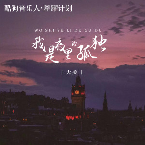 Dengarkan 我是夜里的孤独 lagu dari 大美WH dengan lirik