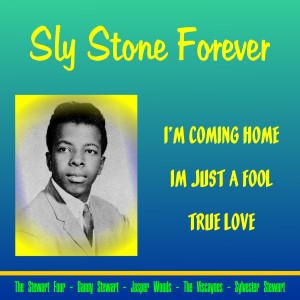 Sly Stone的專輯Sly Stone Forever