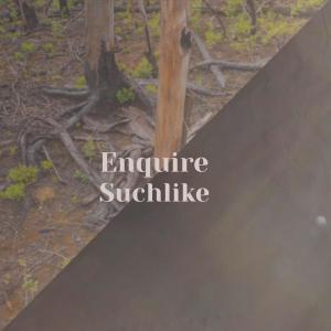 Listen to For Enough song with lyrics from Alus Haly