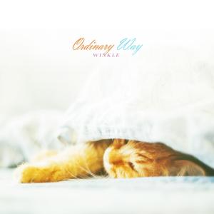 Album Ordinary Way from Winkle
