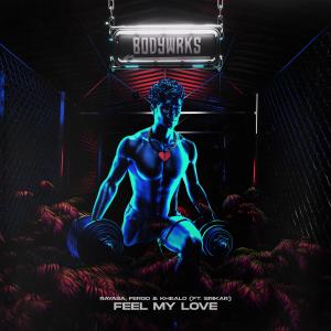 Listen to Feel My Love (Extended Mix) song with lyrics from Rayasa