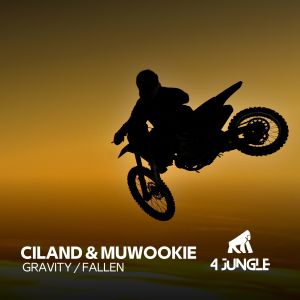 Listen to Fallen song with lyrics from Ciland