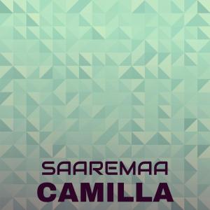 Album Saaremaa Camilla oleh Various