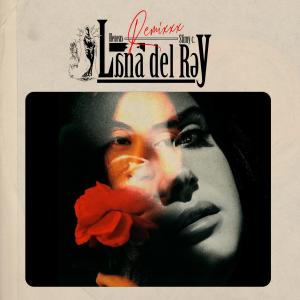 HENEAS的專輯Lana del ray remixxx (feat. Slimy C.) (Explicit)