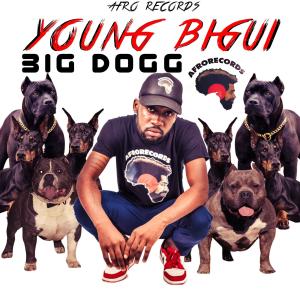 Afrorecords的專輯BIG DOGG (feat. YOUNG BIGUI) (Explicit)