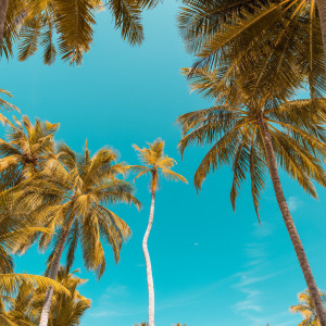 ดาวน์โหลดและฟังเพลง Makin Moves (Golden Ratio) พร้อมเนื้อเพลงจาก Tommy Miraculous