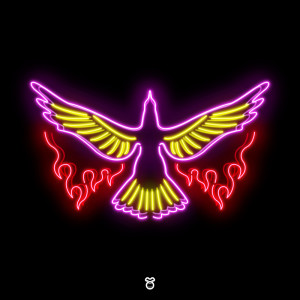 Listen to Rise song with lyrics from Wiwek