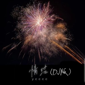 Album 情结 (DJ版) from ycccc