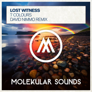 Dengarkan lagu 7 Colours (David Nimmo Extended Mix) nyanyian Lost Witness dengan lirik