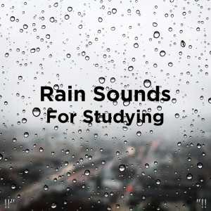 ดาวน์โหลดและฟังเพลง Suara Hujan Untuk Tidur พร้อมเนื้อเพลงจาก Rain Sounds