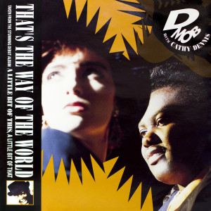 收聽D Mob的That's The Way of The World (with Cathy Dennis) [7" Edit by Razor T] (7" Edit by Razor T)歌詞歌曲