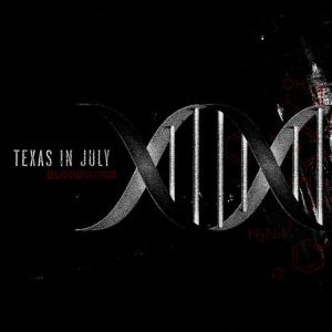 ดาวน์โหลดและฟังเพลง Broken Soul พร้อมเนื้อเพลงจาก Texas In July