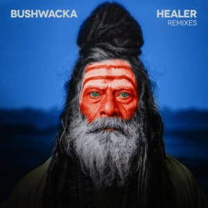 Layo & Bushwacka!的專輯Healer