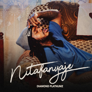 Diamond Platnumz的專輯Nitafanyaje