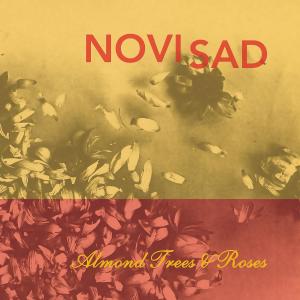 ดาวน์โหลดและฟังเพลง Dissappear พร้อมเนื้อเพลงจาก Novi Sad