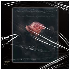 Listen to Locals song with lyrics from Joel Leischner