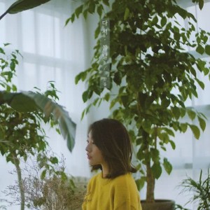 收聽Han All的Let's Meet In Spring (Acoustic ver.)歌詞歌曲