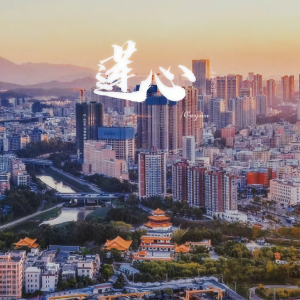 Listen to 莲心 song with lyrics from 灵感旺